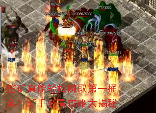 �ڿ���������׬ȡ��һͰ�����ֱؿ����Դ����