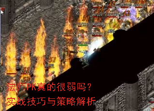 ��ʦPK��ĺ�����ʵս��������Խ���