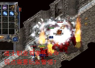 ��ʿְҵ����Щ����������Ҫ��Ҿ��裿