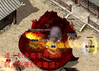 ��ʿְҵ����Щ����������Ҫ��Ҿ��裿