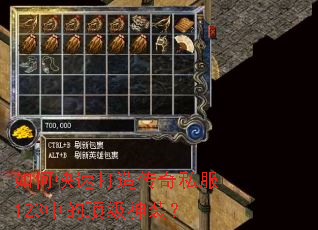 ��ο��ٴ��촫��˽��123�еĶ�����װ��