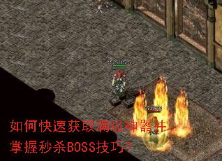��ο��ٻ�ȡ����������������ɱBOSS���ɣ�