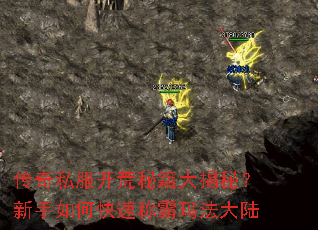 传奇私服开荒秘籍大揭秘?新手如何快速称霸玛法大陆 传奇私服开荒秘籍大揭秘?新手如何快速称霸玛法大陆