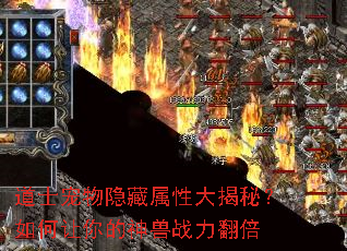 ��ʿ�����������Դ���أ�������������ս������