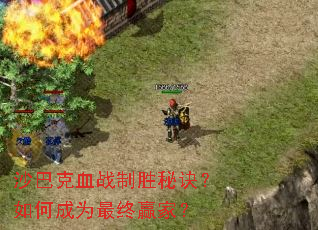 ɳ�Ϳ�Ѫս��ʤ�ؾ�����γ�Ϊ����Ӯ�ң�