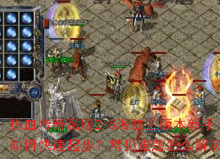 ��Ѫ����˽��2.5�������汾������ο����𲽣�����������ô�����