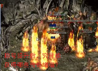 �ƺ������󣬾����ܻ����Щ����������