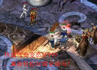 ��Ѫ�����̬SF999�����������ư�ȫ����