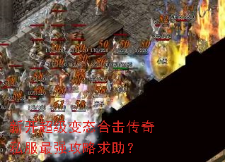 新开超级变态合击传奇私服最强攻略求助? 新开超级变态合击传奇私服最强攻略求助?