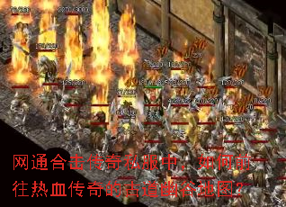 ��ͨ�ϻ�����˽���У����ǰ����Ѫ����Ĺŵ��Ĺȵ�ͼ��