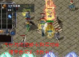 ������Ϸ�����鹺���ԣ��������򵽼����飿