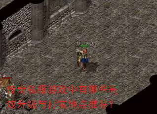 传奇私服游戏中有哪些高效升级与打宝地点推荐? 传奇私服游戏中有哪些高效升级与打宝地点推荐?
