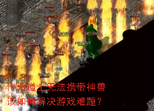 �����ʿ�޷�Я�����޸���ν����Ϸ���⣿