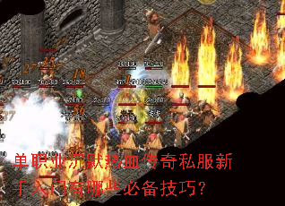 ��ְҵ��Ĭ��Ѫ����˽��������������Щ�ر����ɣ�