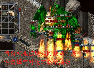 ����˽��������λ�ȡ������ѡ������������ȫ����