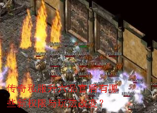 ����˽������Ʒ�ٺ�����Щ��Ȩ�����淨�ı䣿