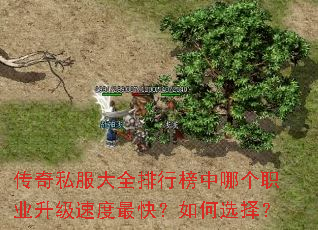 ����˽����ȫ���а����ĸ�ְҵ�����ٶ���죿���ѡ��