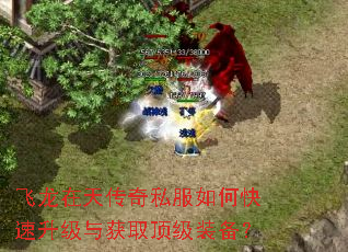 飞龙在天传奇私服如何快速升级与获取顶级装备? 飞龙在天传奇私服如何快速升级与获取顶级装备?