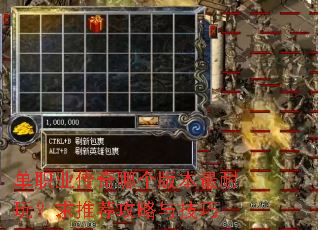 ��ְҵ�����ĸ��汾�����棿���Ƽ������뼼��