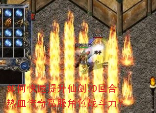 ��ο��������ɽ�3D�غ���Ѫ����˽����ɫս������