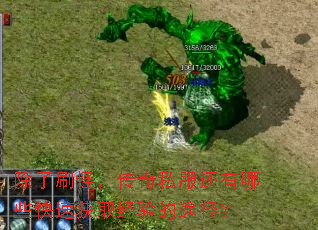 ����ˢ�֣�����˽��������Щ���ٻ�ȡ�����;����