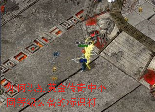 ���ʶ��ƽ����в�ͬ�ȼ�װ���ı�ʶ��