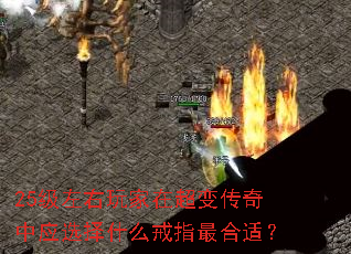 25����������ڳ��䴫����Ӧѡ��ʲô��ָ����ʣ�