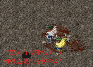 Ѱ�����д���˽������ο���������ɫ�ȼ���