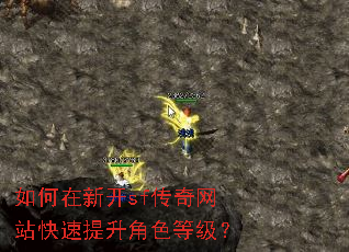 ������¿�sf������վ����������ɫ�ȼ���