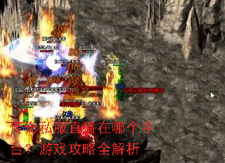 ����˽��ֱ�����ĸ�ƽ̨����Ϸ����ȫ����