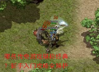 ��Щ������Ϸ���ƾ��䣿�������Ź���ȫ����