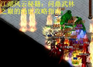 江湖风云秘籍：问鼎武林之巅的绝世攻略指南