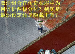 双法组合在传奇私服中为何评价两极分化？到底是最弱设定还是隐藏王者？