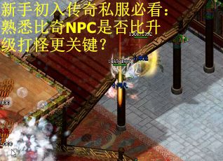 新手初入传奇私服必看：熟悉比奇NPC是否比升级打怪更关键？