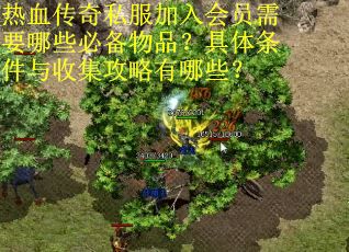 热血传奇私服加入会员需要哪些必备物品？具体条件与收集攻略有哪些？
