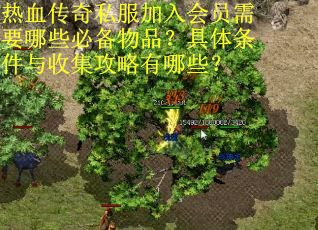 热血传奇私服加入会员需要哪些必备物品？具体条件与收集攻略有哪些？