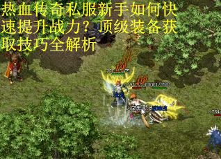 热血传奇私服新手如何快速提升战力？顶级装备获取技巧全解析