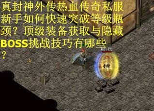 真封神外传热血传奇私服新手如何快速突破等级瓶颈？顶级装备获取与隐藏BOSS挑战技巧有哪些？