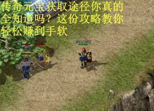 传奇元宝获取途径你真的全知道吗？这份攻略教你轻松赚到手软