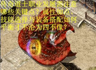 传奇道士职业发展需注意哪些关键点？属性加点、技能选择与装备搭配如何平衡才不沦为四不像？