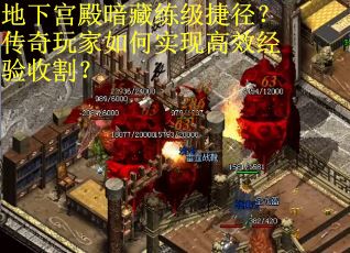 地下宫殿暗藏练级捷径？传奇玩家如何实现高效经验收割？