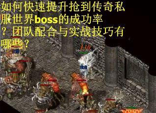 如何快速提升抢到传奇私服世界boss的成功率？团队配合与实战技巧有哪些？