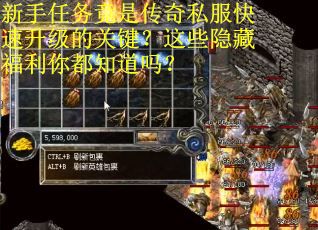新手任务竟是传奇私服快速升级的关键？这些隐藏福利你都知道吗？