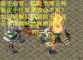 新手必看：传奇里哪五种脆皮小怪暗藏致命杀招？如何破解钉耙猫的无限连击和毒蜘蛛的麻痹陷阱？