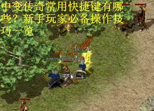 中变传奇常用快捷键有哪些？新手玩家必备操作技巧一览