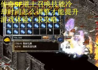 传奇SF道士召唤技能冷却时间怎么调整才能提升游戏体验？求攻略