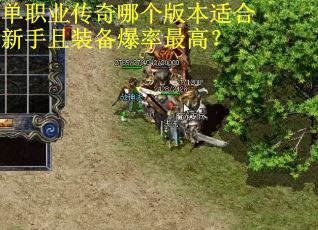 单职业传奇哪个版本适合新手且装备爆率最高？