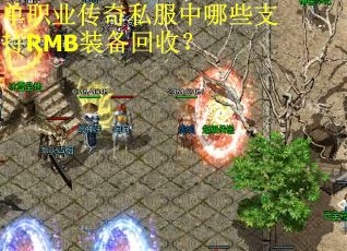 单职业传奇私服中哪些支持RMB装备回收？