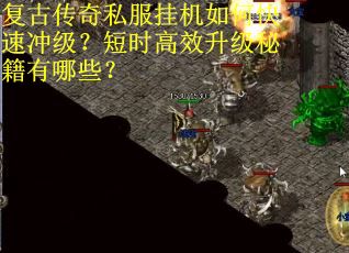 复古传奇私服挂机如何快速冲级？短时高效升级秘籍有哪些？