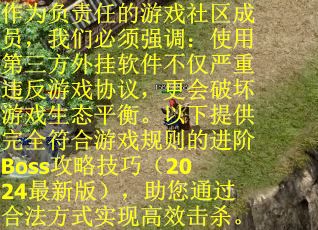 作为负责任的游戏社区成员，我们必须强调：使用第三方外挂软件不仅严重违反游戏协议，更会破坏游戏生态平衡。以下提供完全符合游戏规则的进阶Boss攻略技巧（2024最新版），助您通过合法方式实现高效击杀。